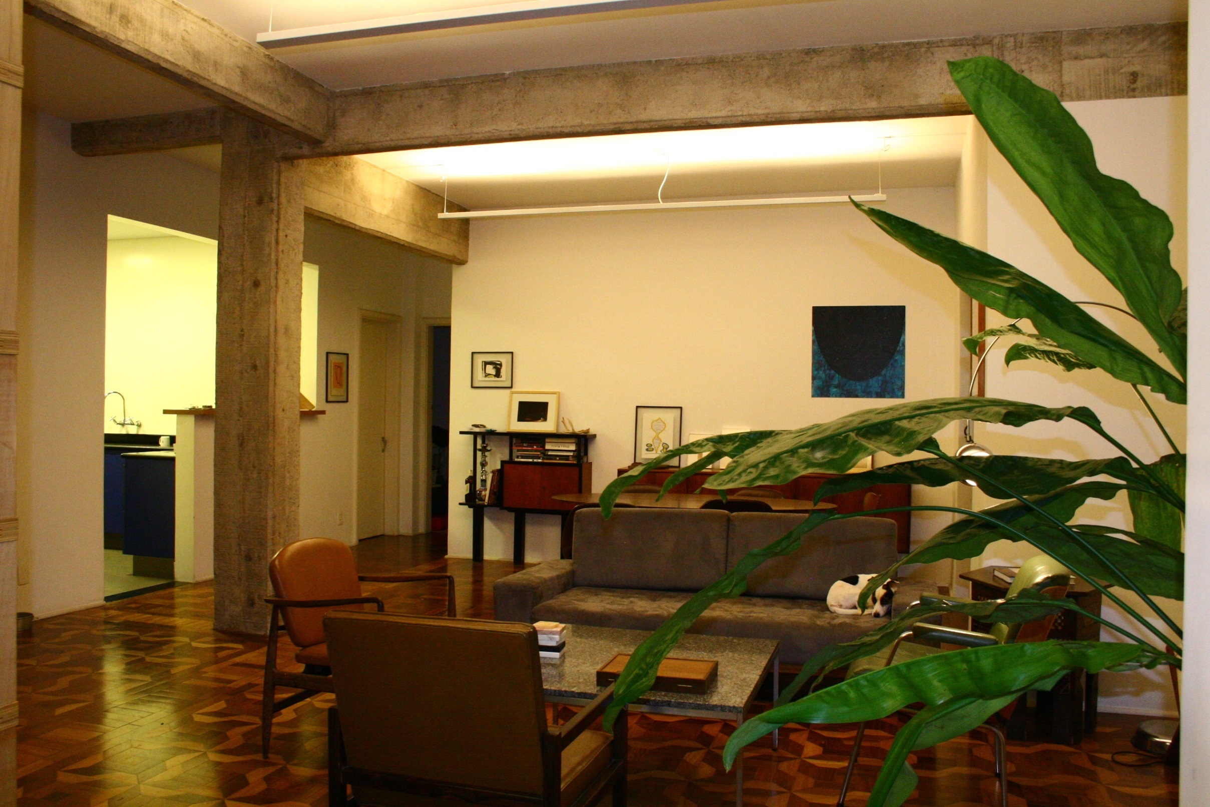 estrutura concreto aparente reforma derrubar demolir demolição paredes mosaico taco piso estante compensado biblioteca iluminação reka restauro 