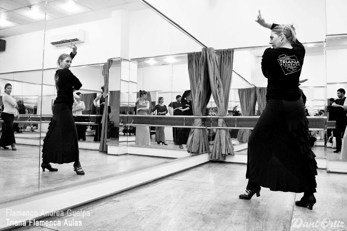 andrea-guelpa-flamenco-brasil.jpg
