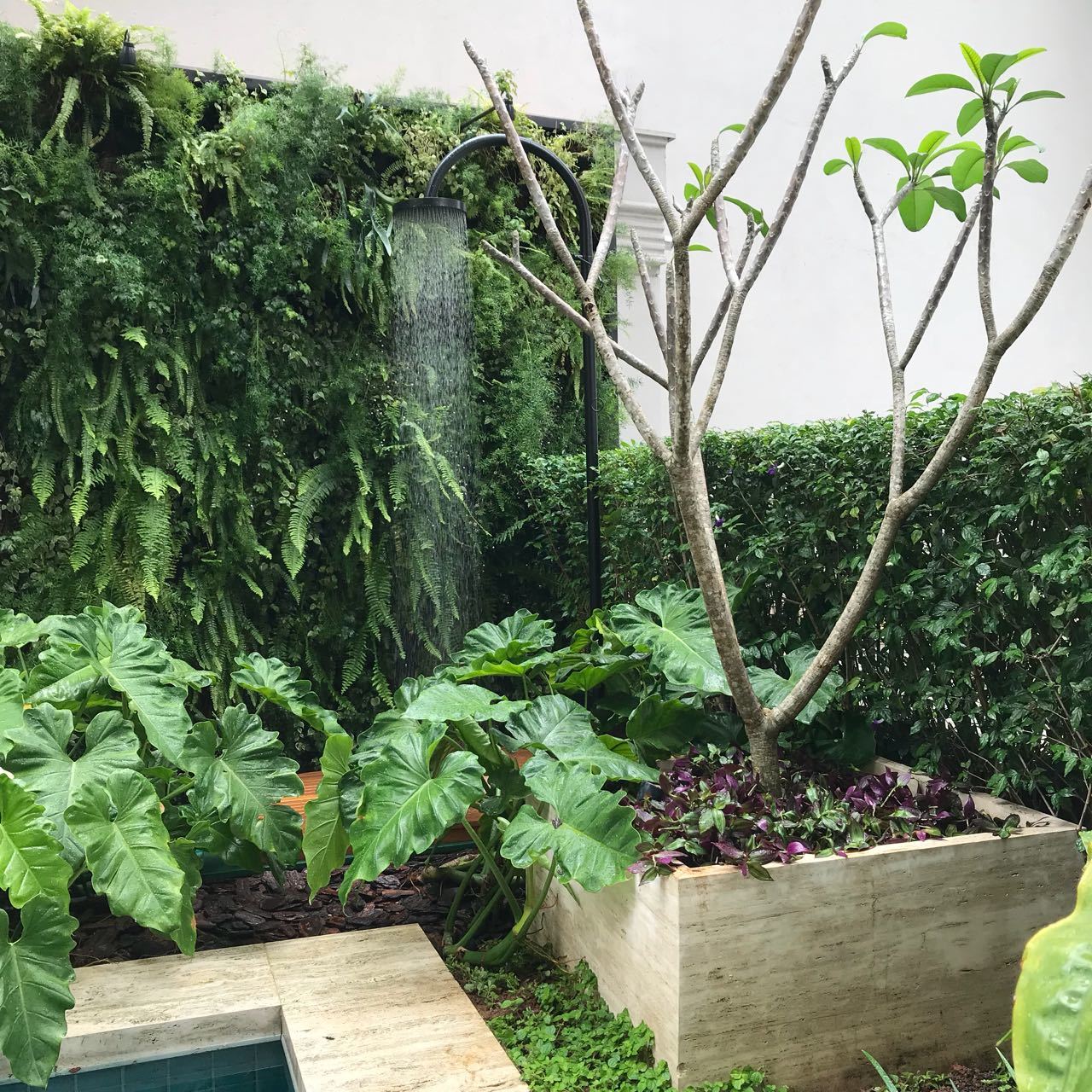 DUCHA DE COLUNA COM CORRENTE SD 2X2 (4).jpg