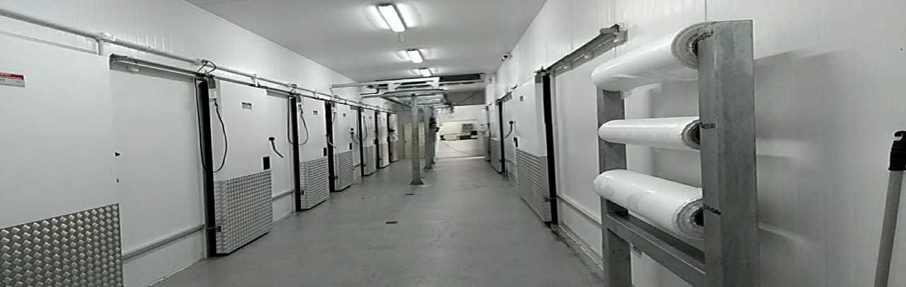 WhatsApp Image 2018-07-04 at 09.47.04 (1).jpeg