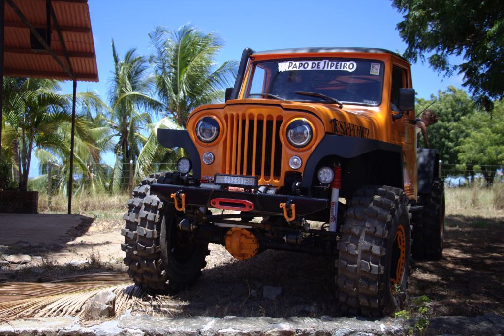 BICUDINHA DE FRENTE SHOW.jpg