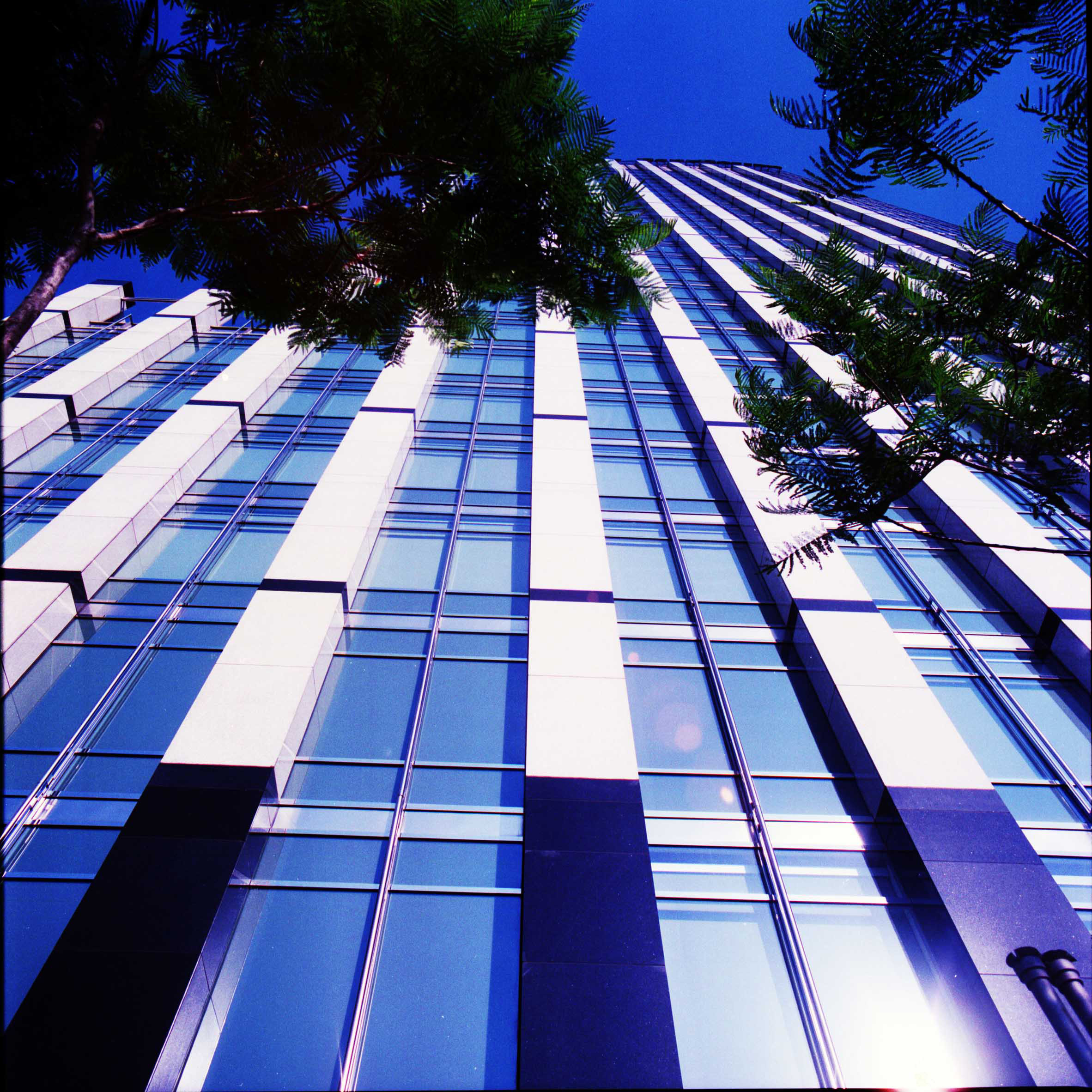 Bank of Boston 18.jpg