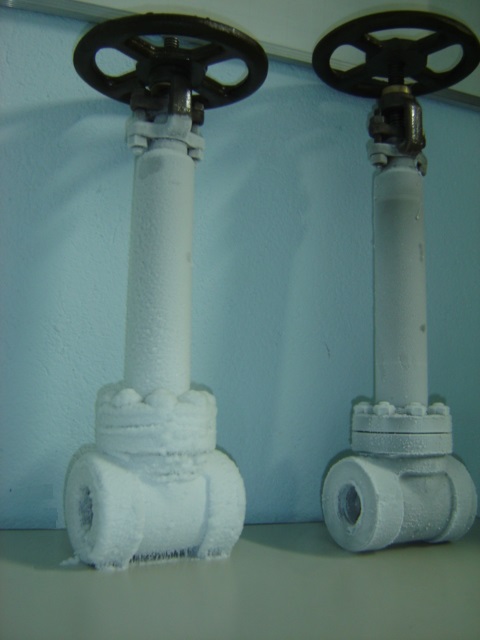 Válvula Gaveta Criogênica, Aparafusada