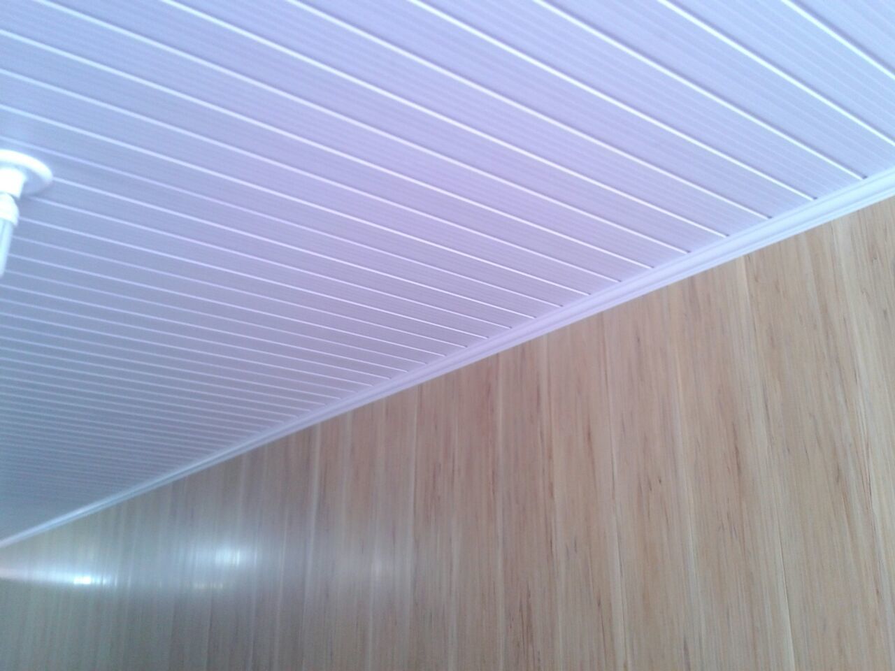 WhatsApp Image 2018-04-17 at 3.22.44 PM.jpeg