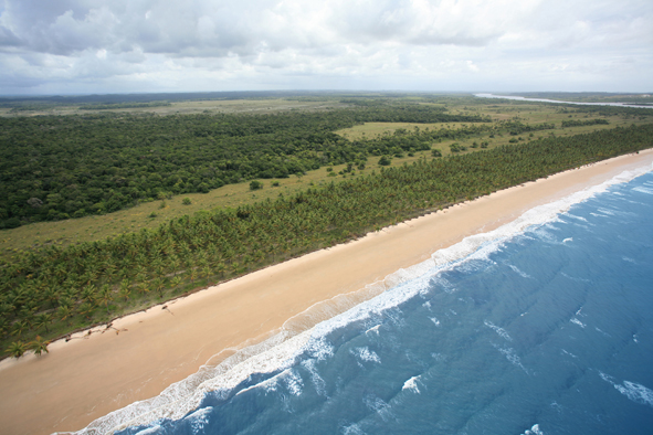 PRATIGI_Aérea Praia e Fundo.jpg