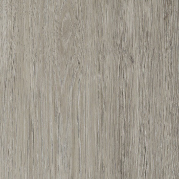 24037917 - Agave.jpg