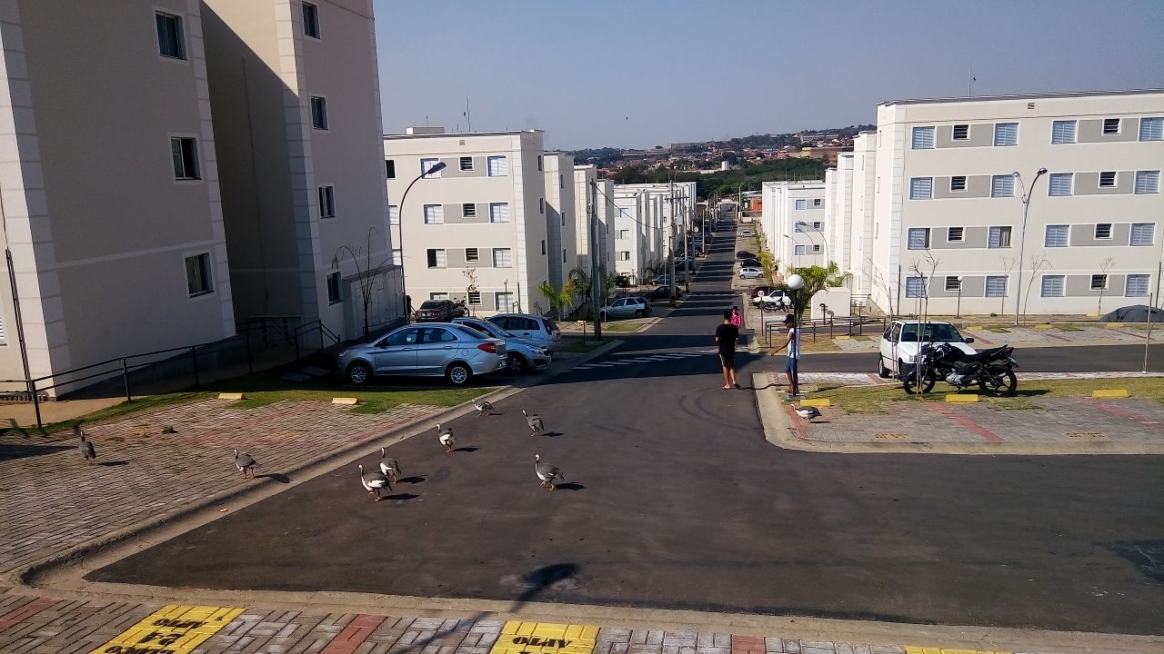 WhatsApp Image 2017-09-08 at 15.46.42.jpeg