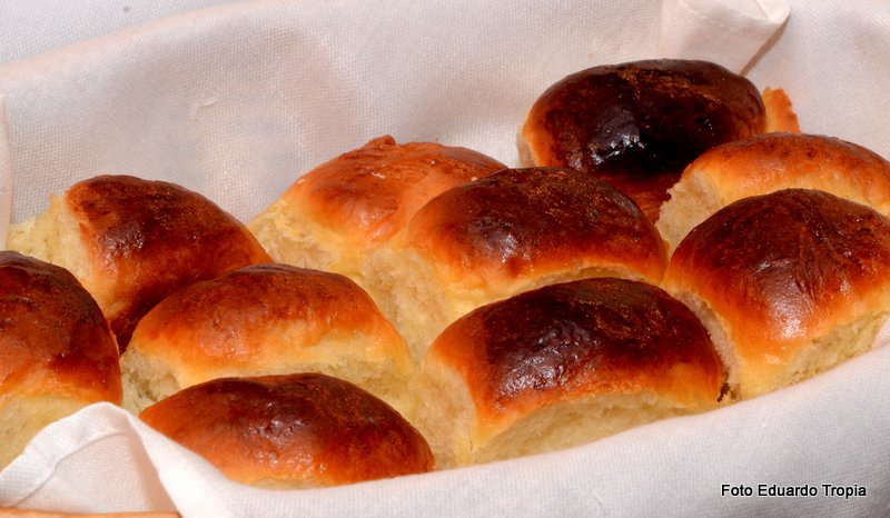 Fotos para o site 099.jpg