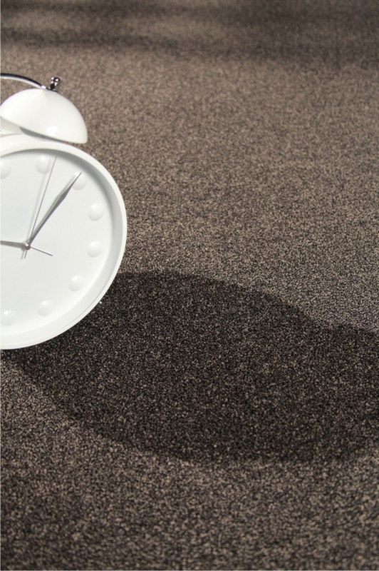 0 imagem principal 3.jpg