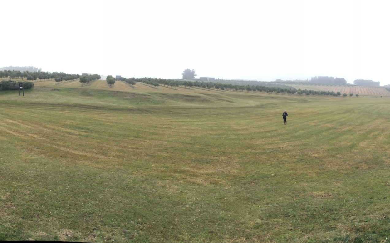 Captura de Tela 2017-03-28 às 21.24.27.png