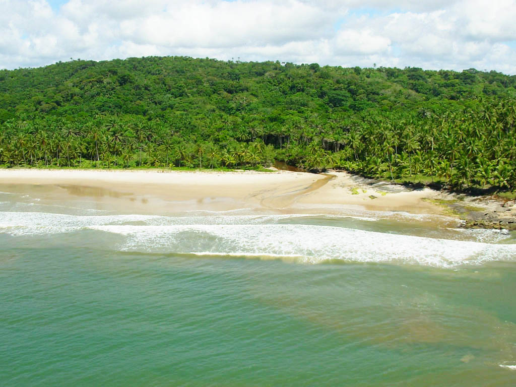 PATIZEIRO_ DSCN0874.JPG