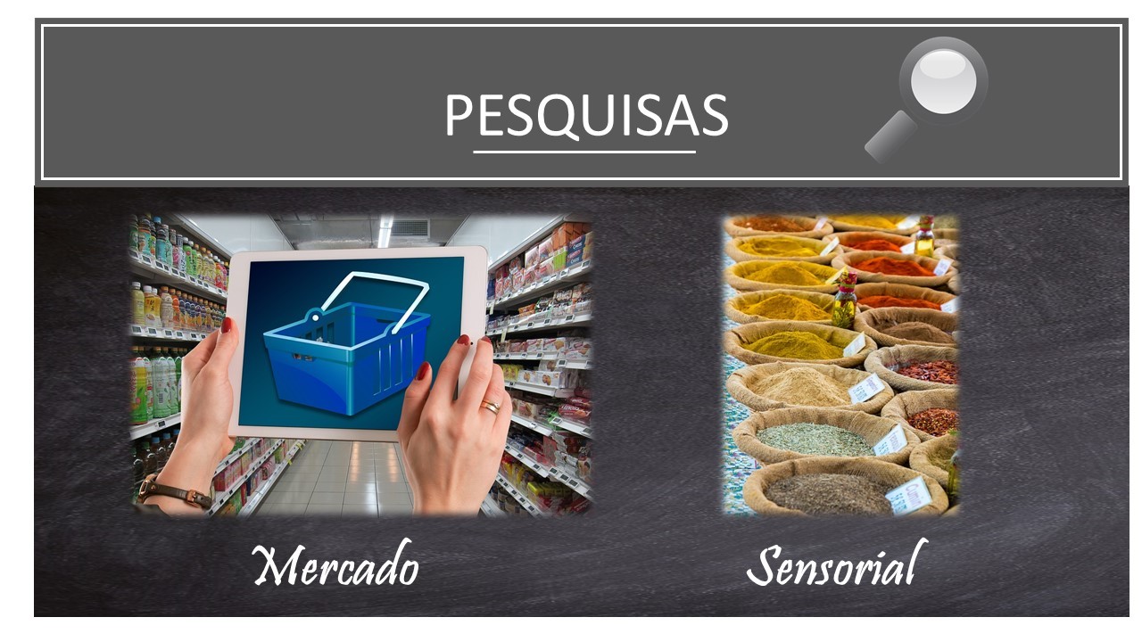 pesquisas.jpg