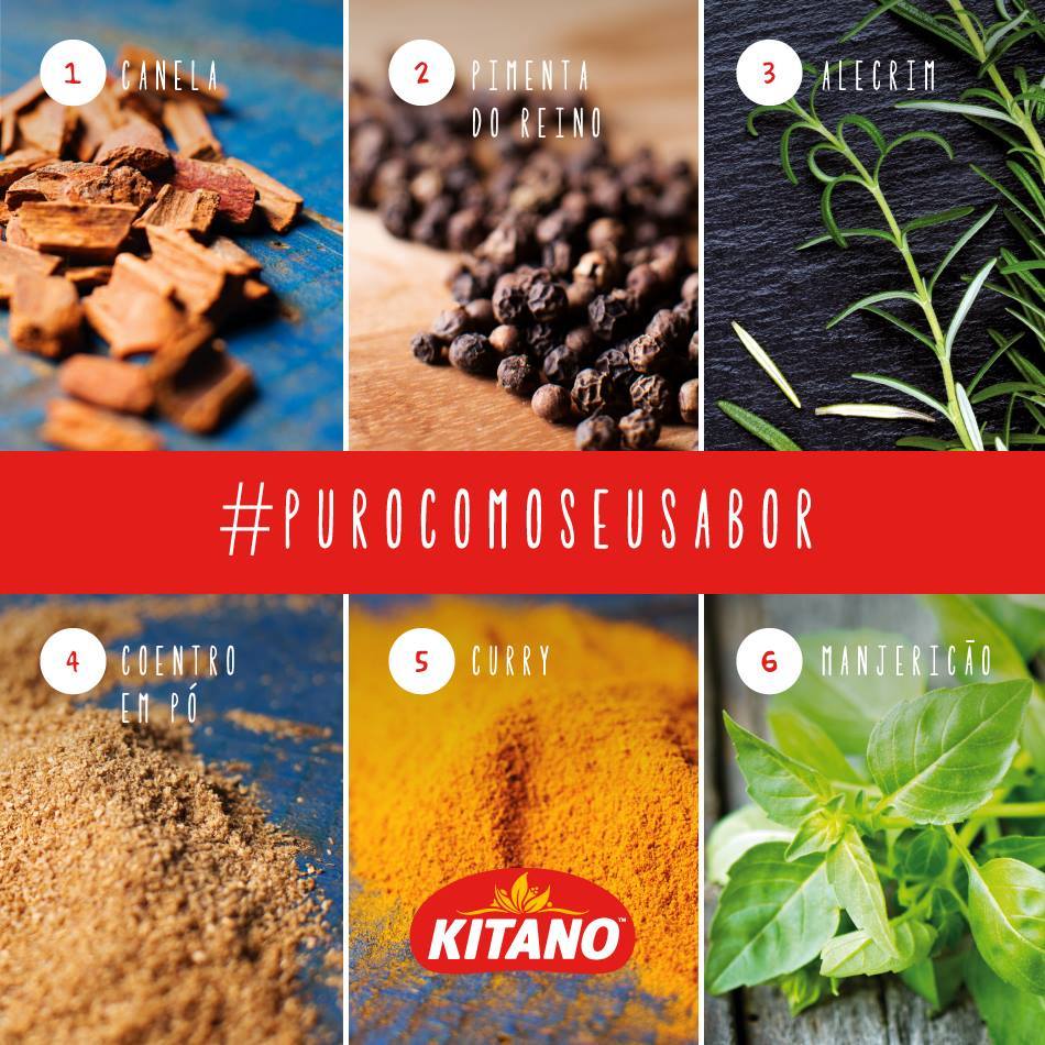produtos_kitano-temperos3.jpg