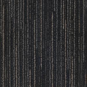 Linea - 285 Storm.jpg