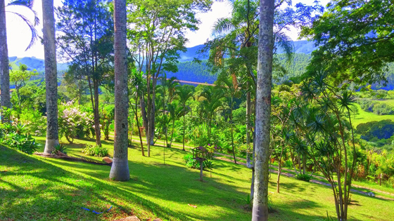 Clinica de recuperação de dependente químico em Atibaia.