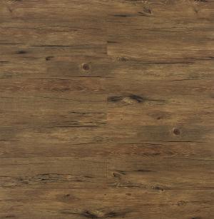 Hercules ( Autoportante ) 001 KBW 8611 Megara.jpg