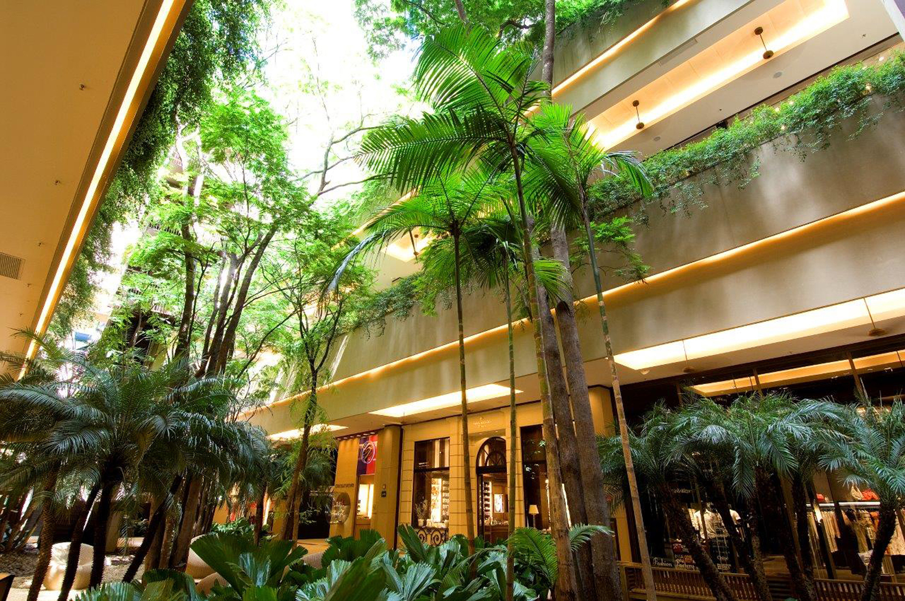 Sh. Cidade Jardim 5.jpg