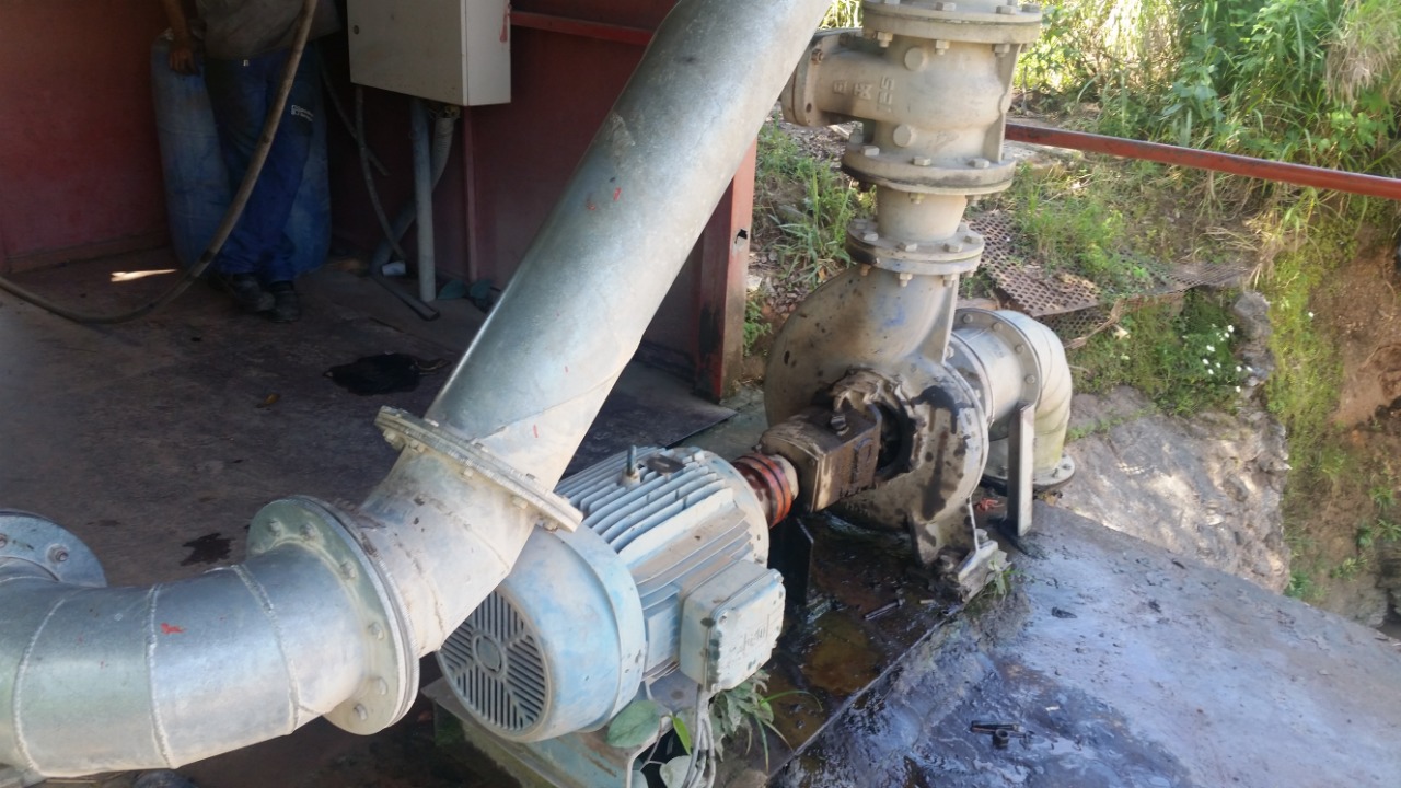 At Site Pedreira.jpg