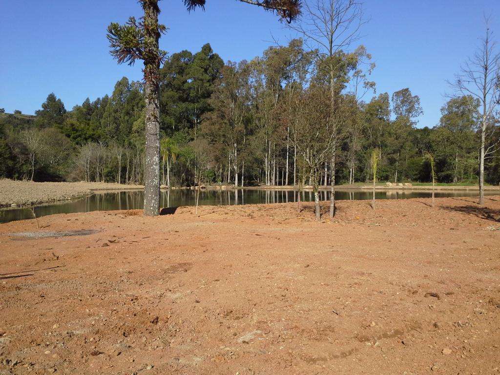 projeto_execucao_telas_lazzarotto (2).jpg