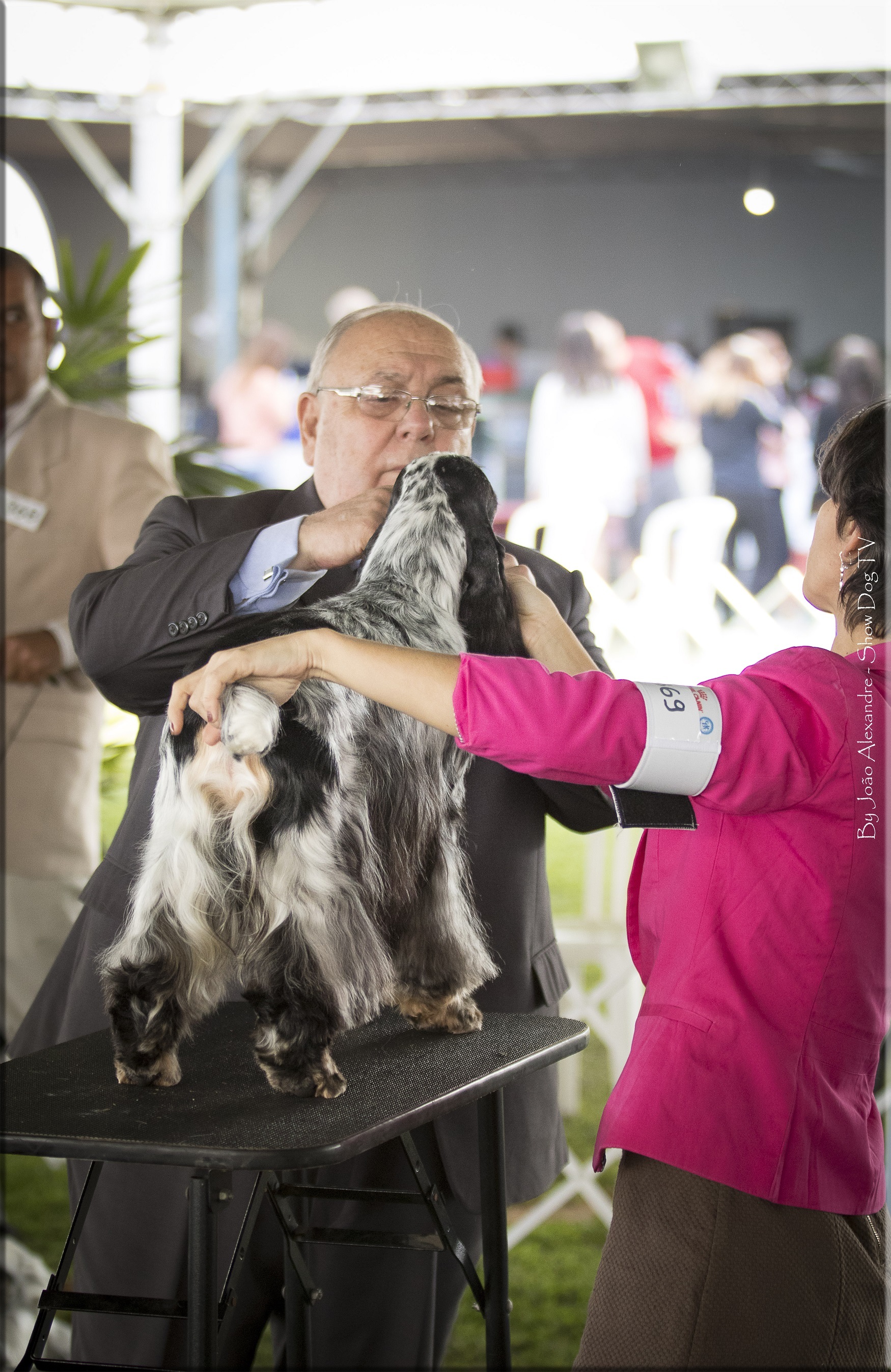 IMG_7737 copiarb.jpg