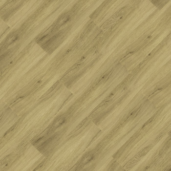 9344653 - Carambola.jpg