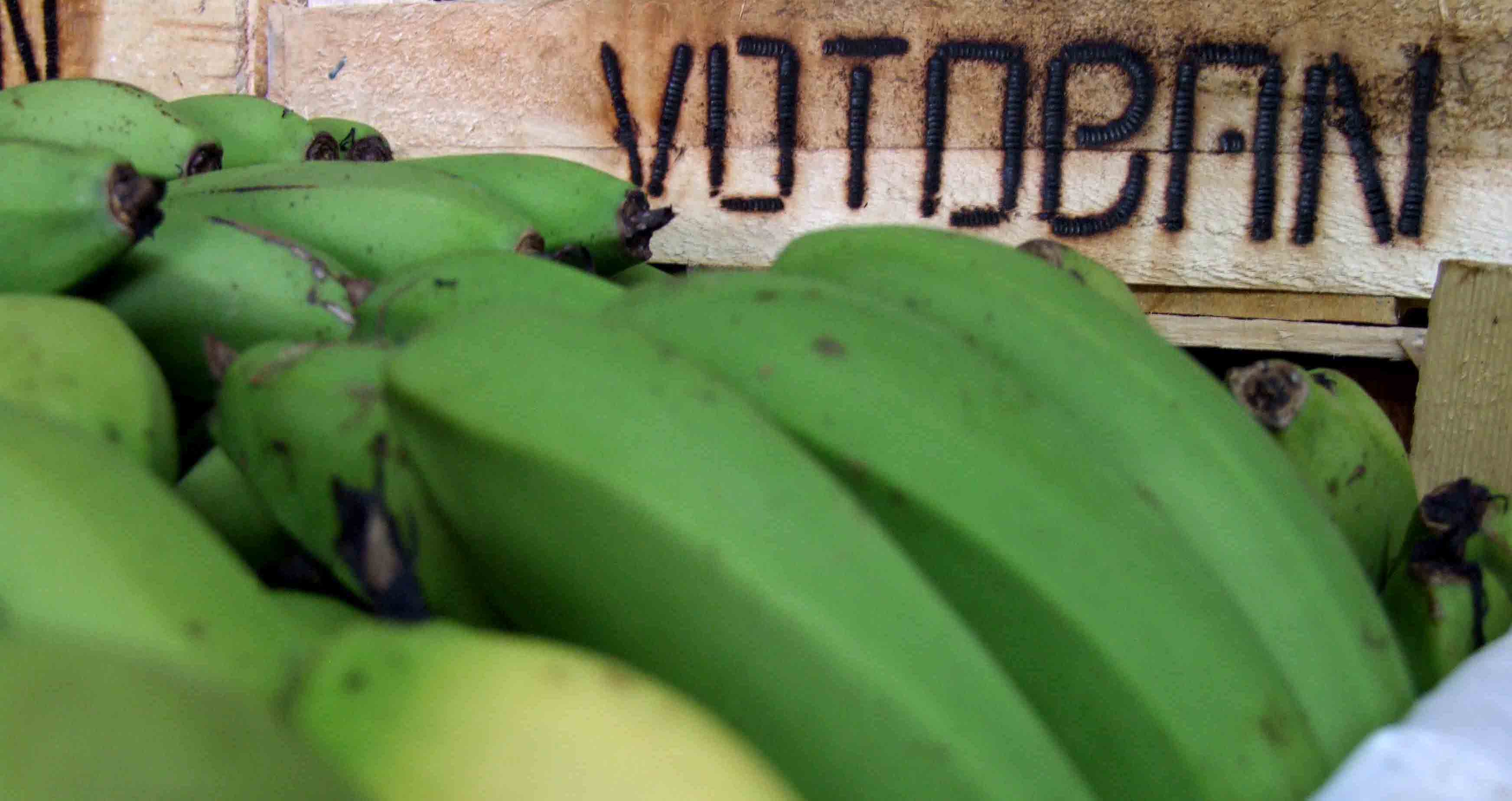 caixa_madeira_bananas_votoban