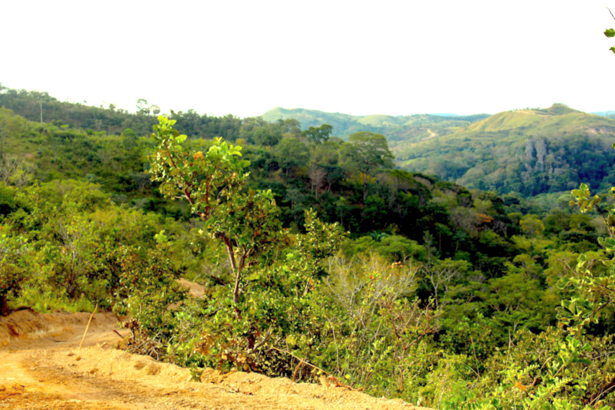 visual pedra pedreira.jpg
