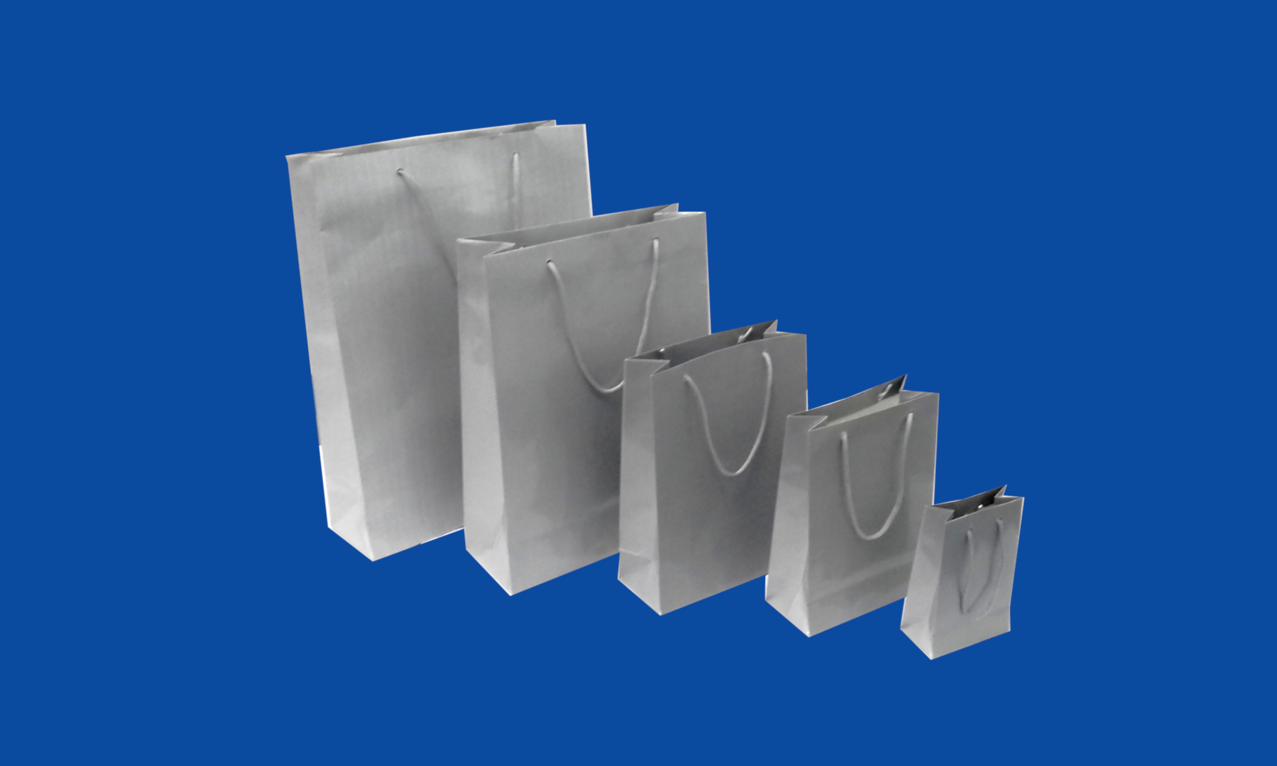 Conjunto Bolsa Boutique Plastificada.jpg