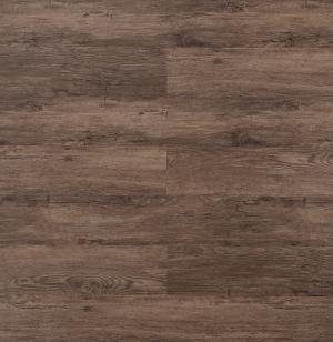 Castilla - 204 KW 6011 Nut.jpg