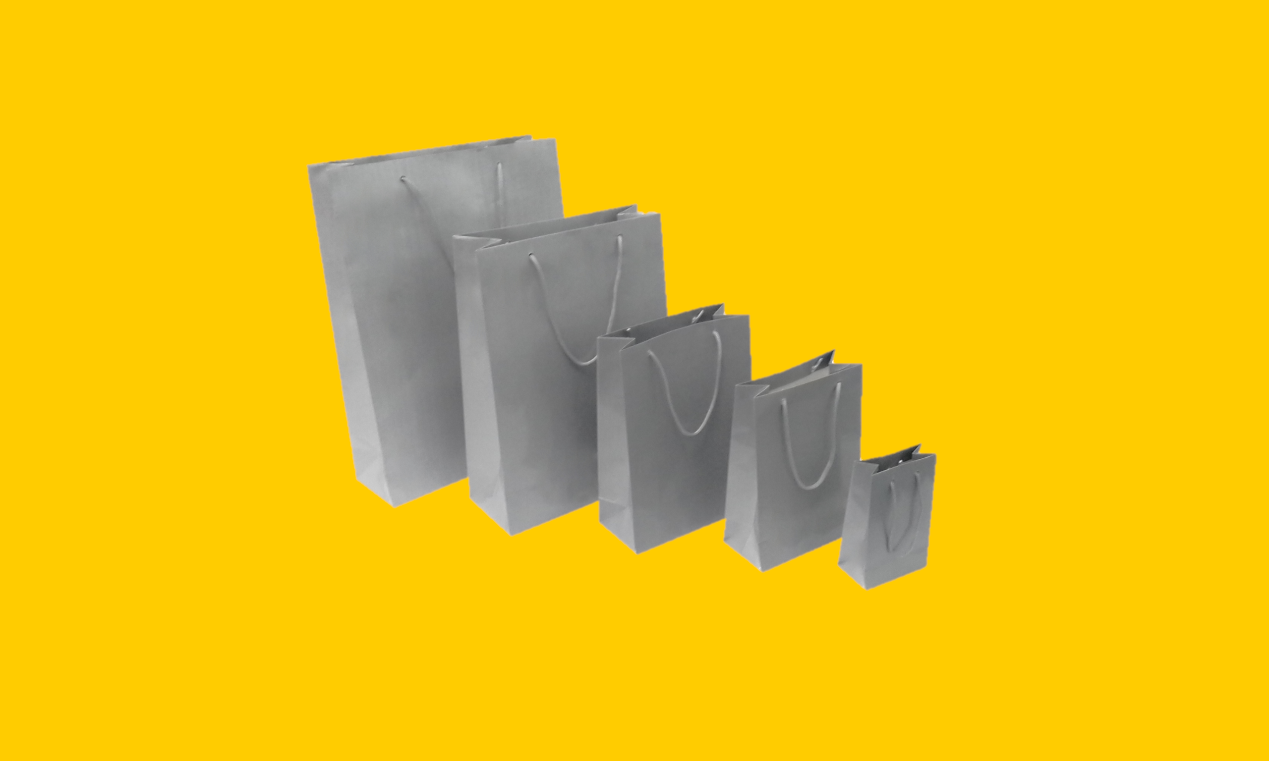 Bolsa Boutique Plastificada Prata  (Mini, Pequena, Média, Grande e Gigante).png