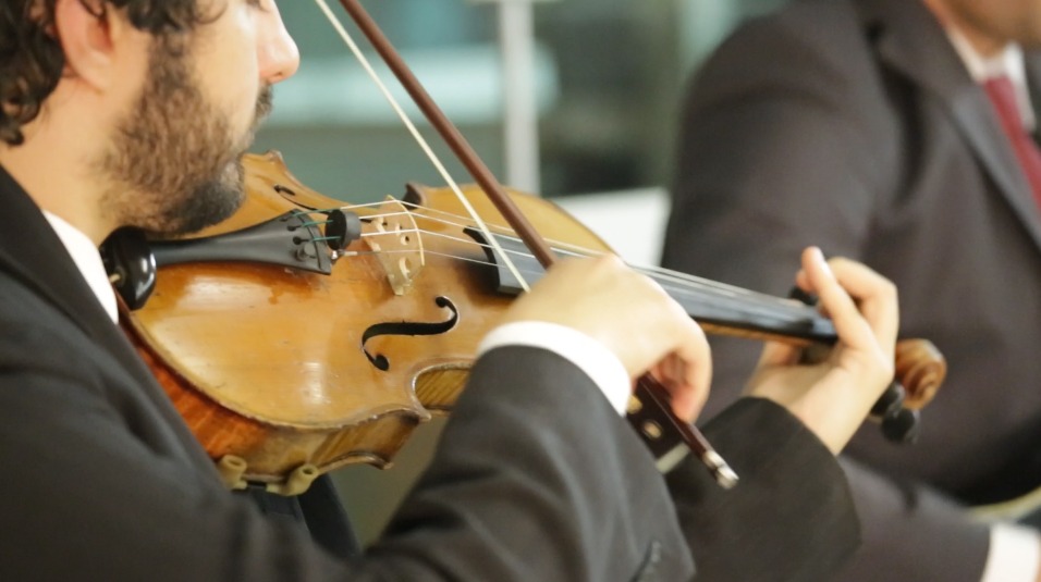 WhatsApp Image 2017-08-30 at 15.42.02.jpeg