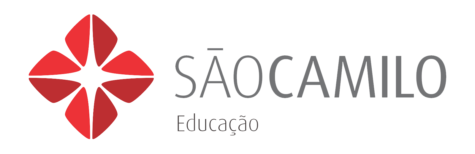 Sao-Camilo-Educação.png