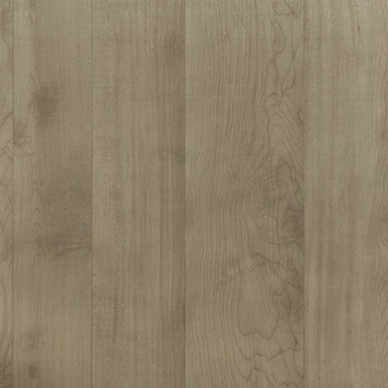 Absolute Madero - 9247673.jpg