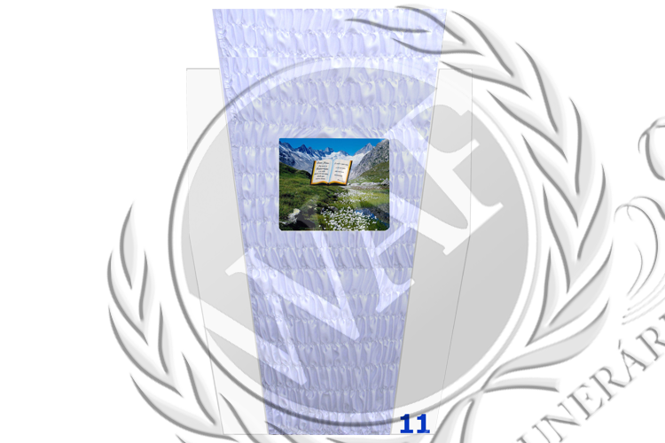 Edredon 11 Marca.png