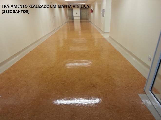 MANTA VINILICA SESC.jpg