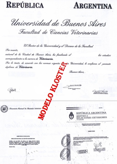 diploma arg.jpg
