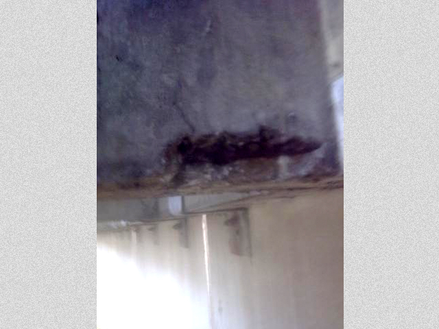 Tribunal deContas SP 03.jpeg