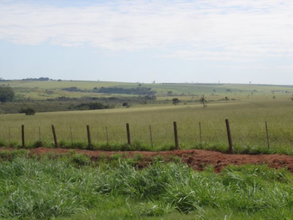 Fazendão 1.200 alqueires 031.jpg