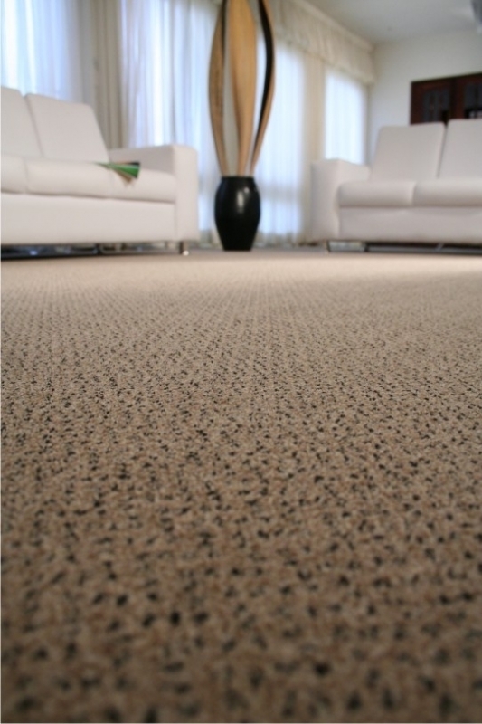 0 imagem principal 3.jpg