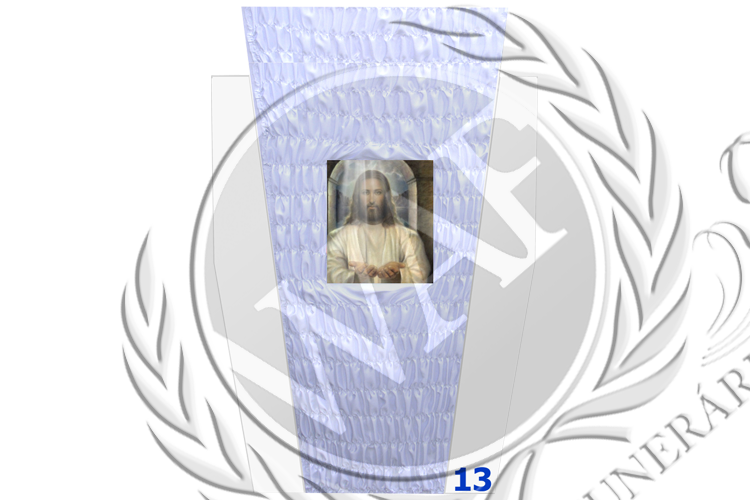 Edredon 13 Marca.png