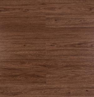 Oxford Clic - 002 K 166124 Cacaus.jpg