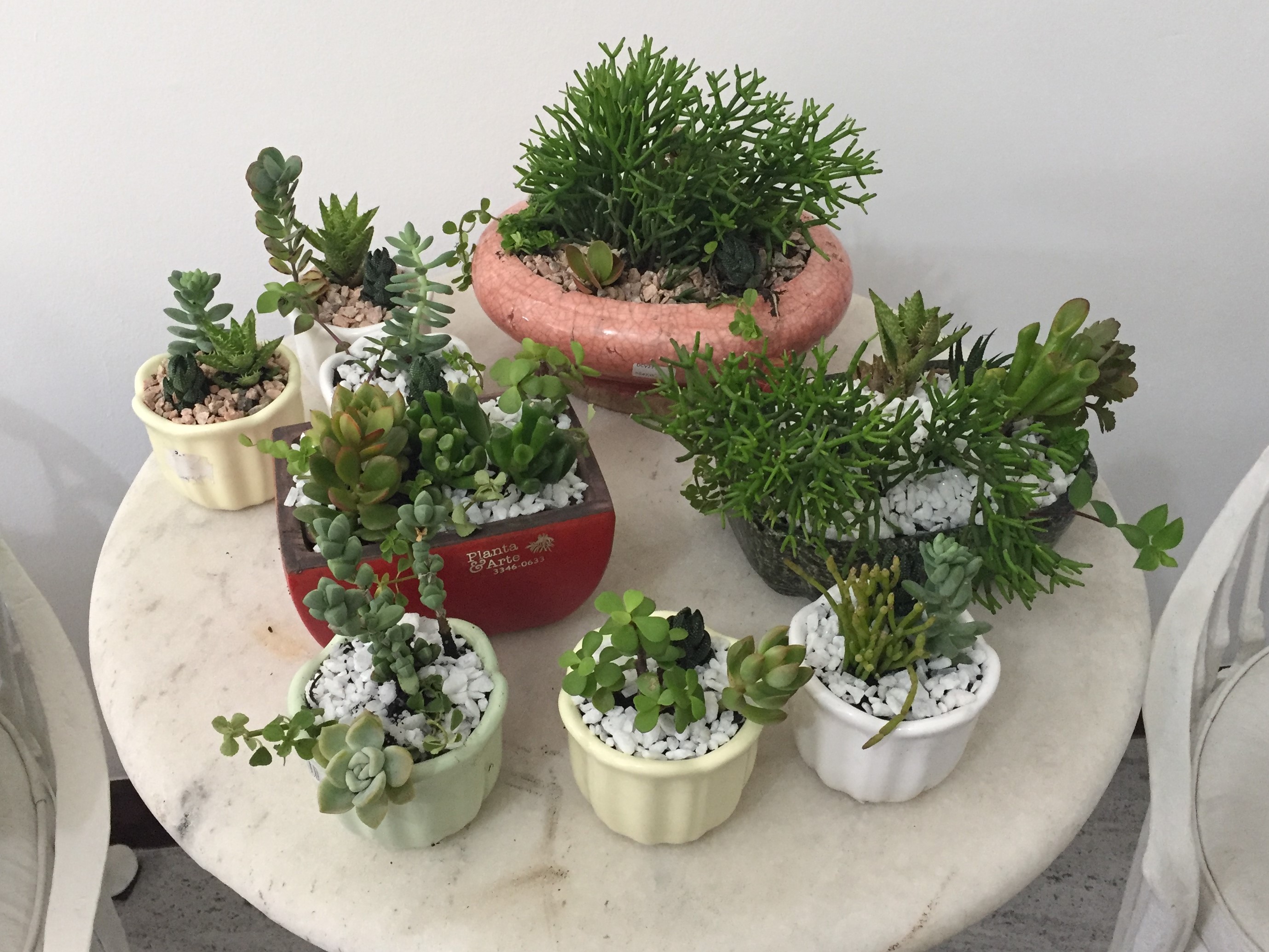 IMG_3686 - Copia.JPG