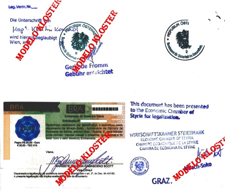 Legalização viena.jpg