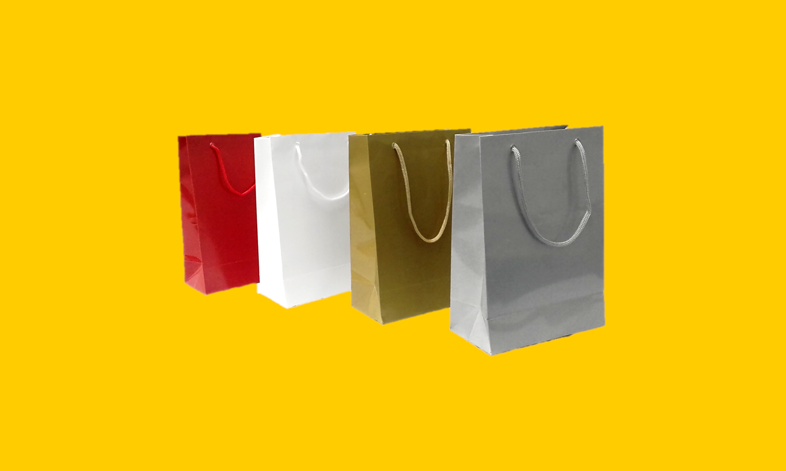 Bolsa Boutique Plastificada Sortida  (Mini, Pequena, Média, Grande e Gigante).png