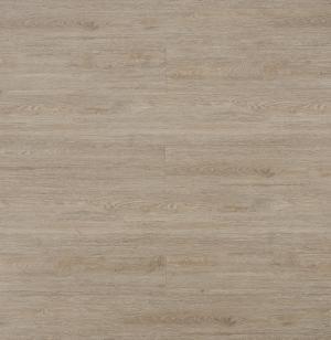 Rocky - 303 KBW8631 Dalí.jpg