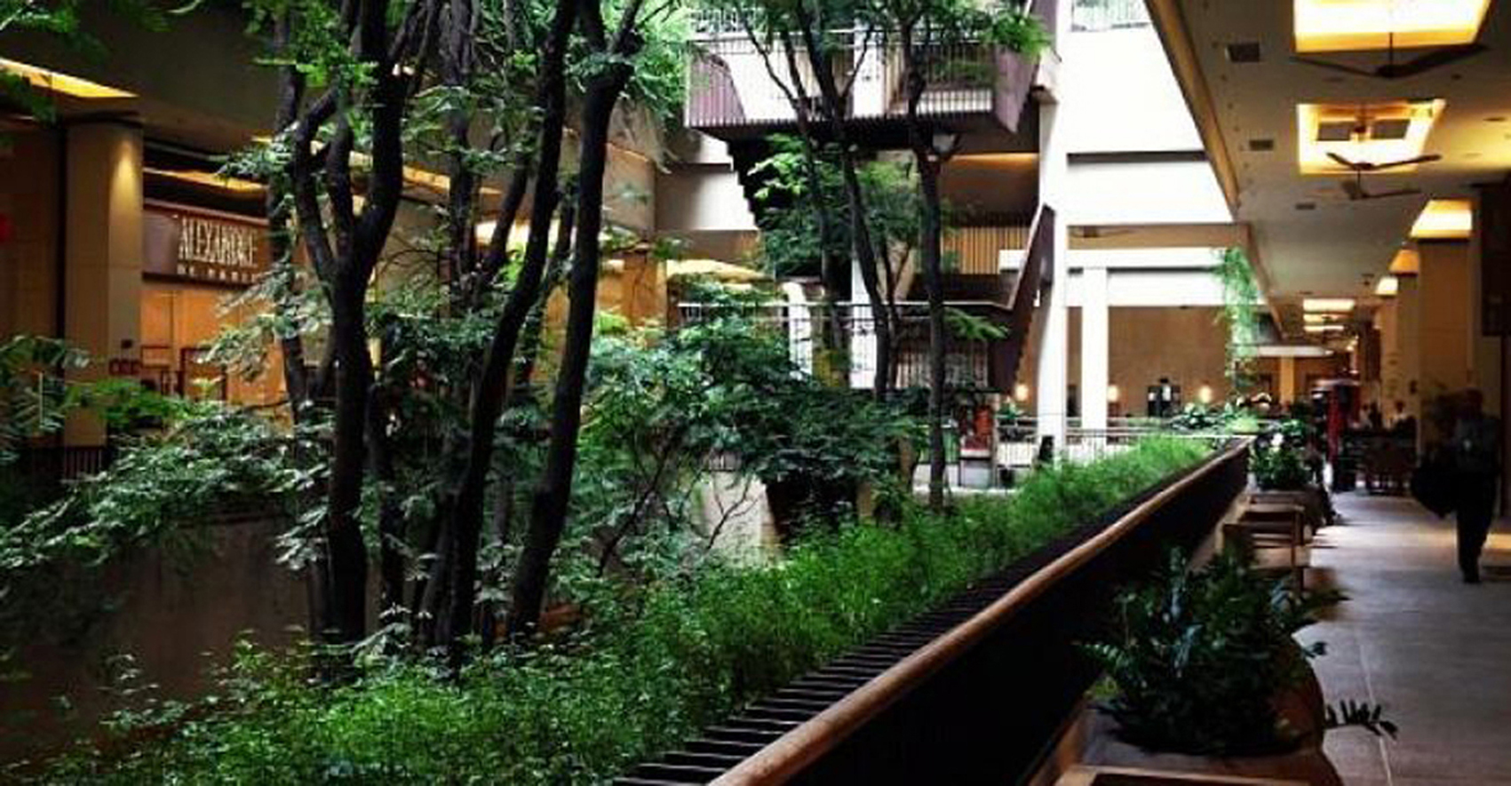 Sh. Cidade Jardim 13 x.jpg