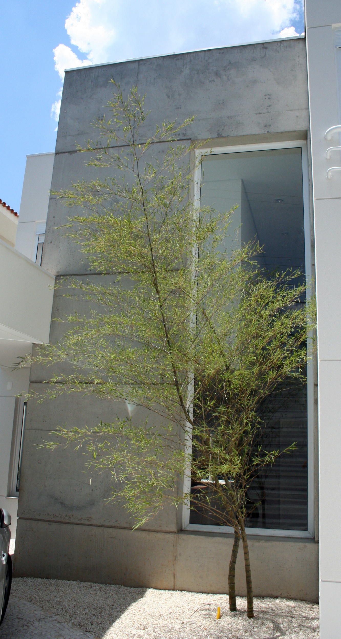 Granja Julieta, R&A Arquitetura, Planejamento, Projeto Residencial, Gerenciamento de Projetos e Obras. 