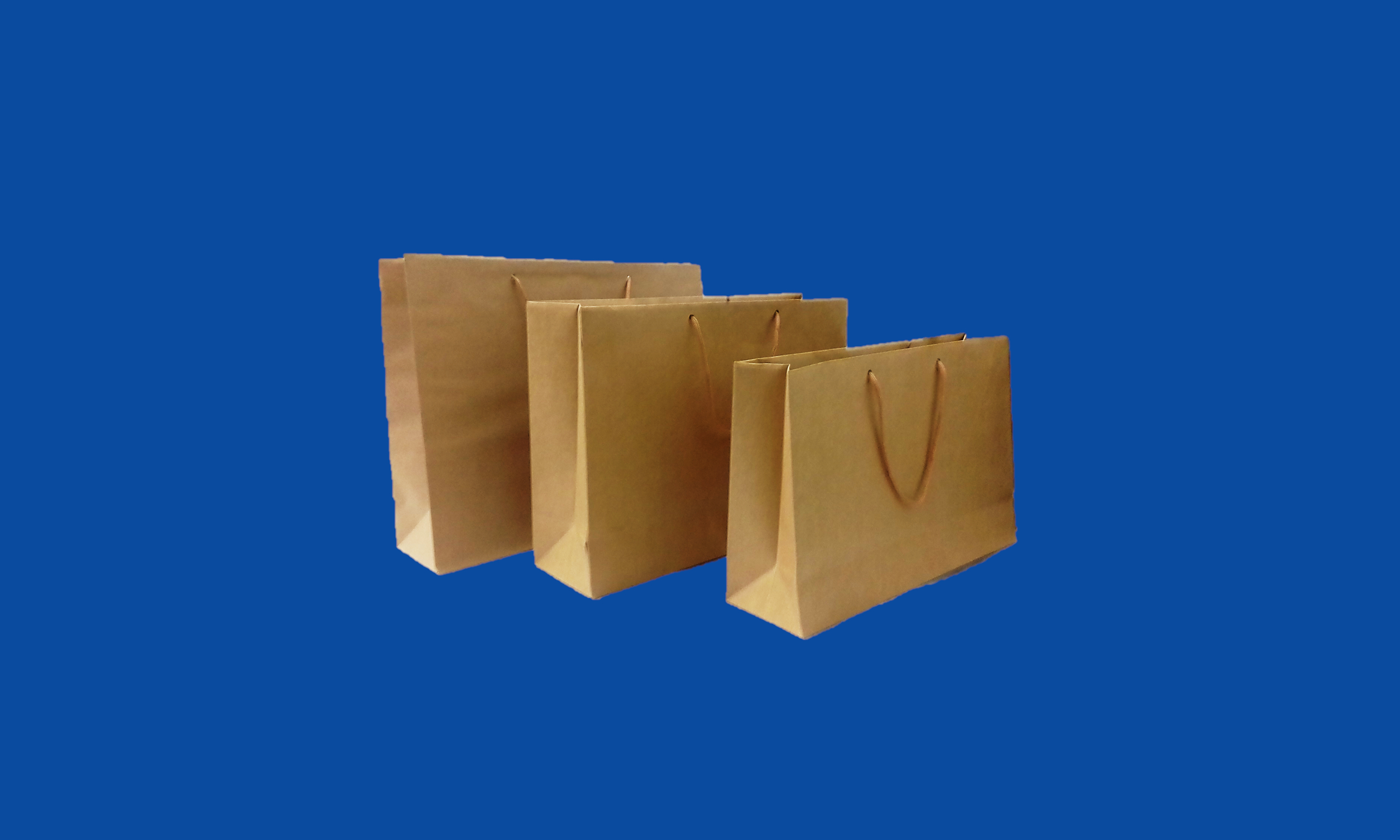 Conjunto Bolsa Horizontal Kraft.jpg