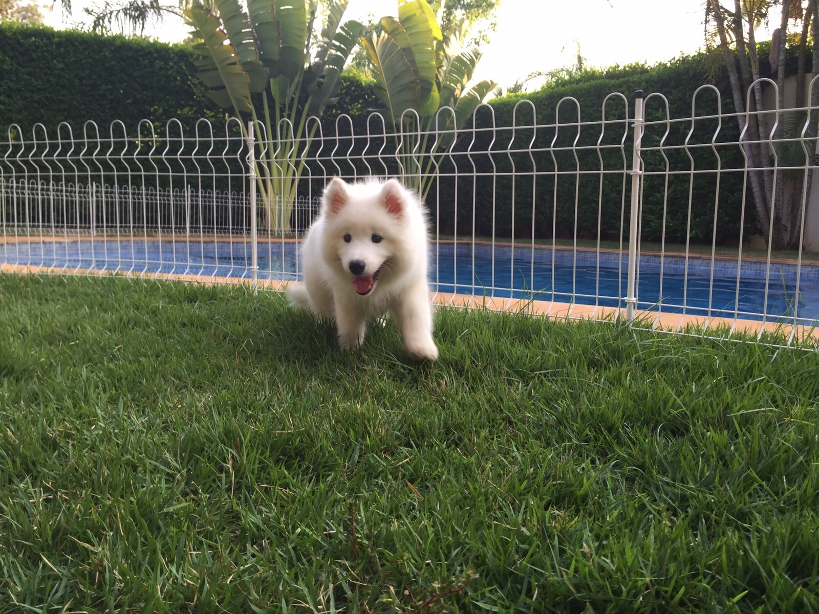 CelularBruno-26.10.15 1154.jpg