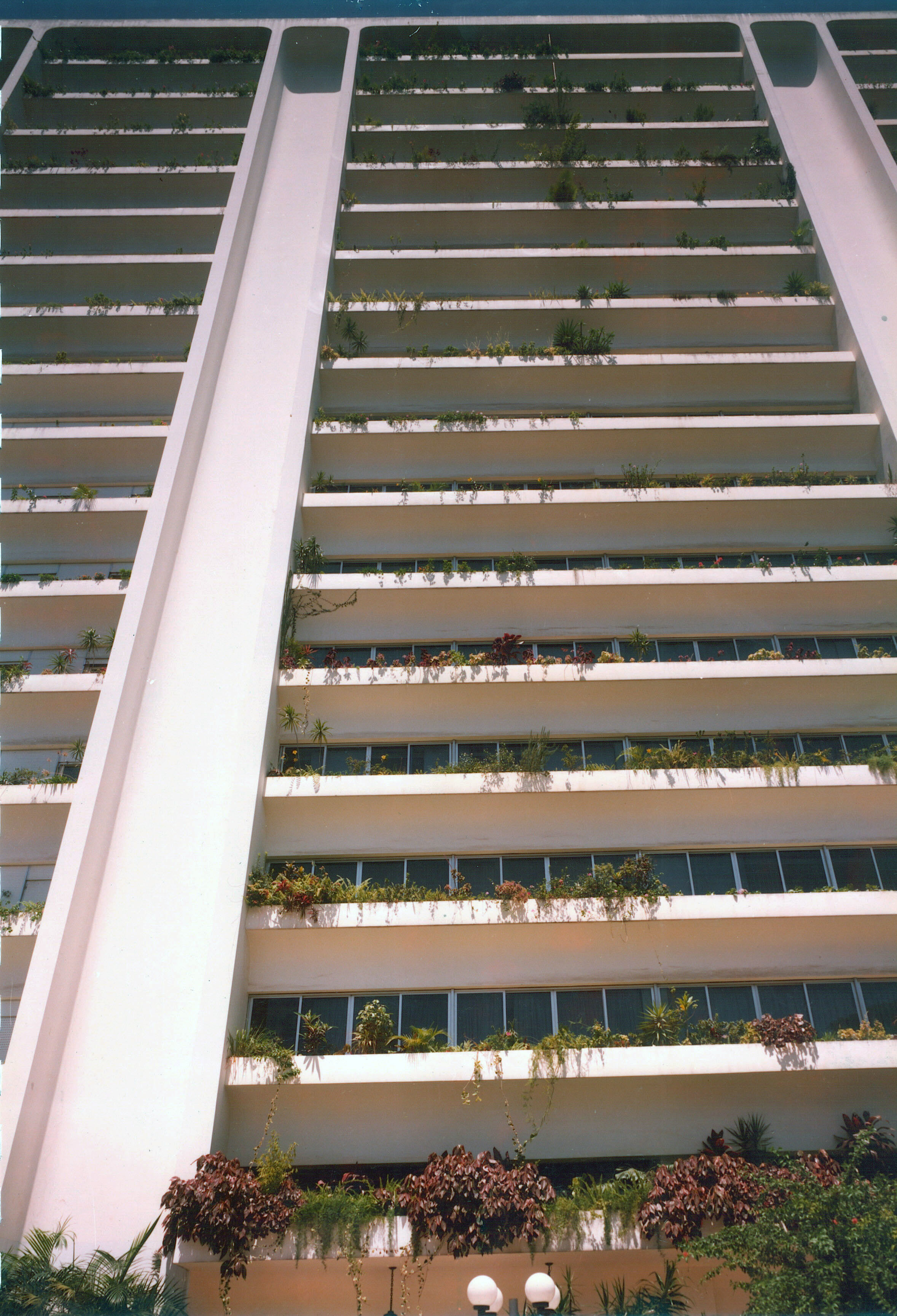 Ed. Donatello 3.0.jpg